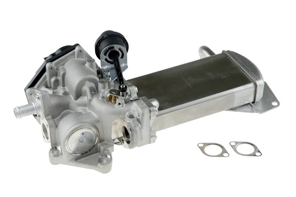 EGR Module (12119892)