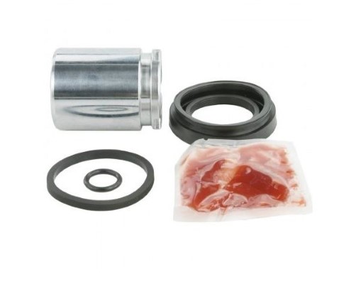 Repair Kit, brake caliper (12119808)