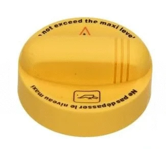 Sealing Cap, oil filler neck (12183340)