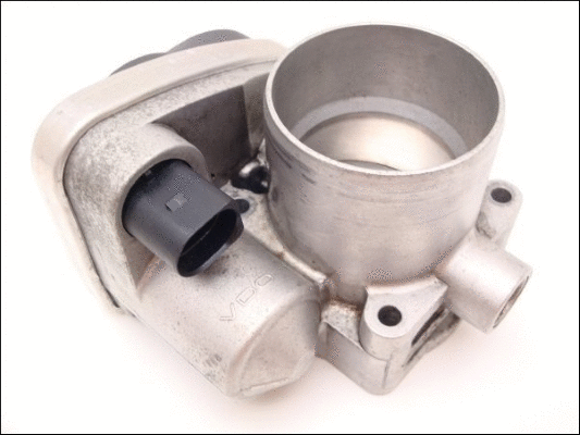 Throttle Body (12164429)