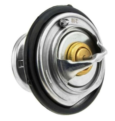 Thermostat, coolant (12220598)