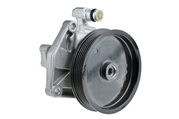 Hydraulic Pump, steering (12157683)