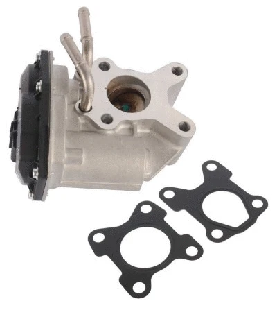 EGR Valve (12195016)