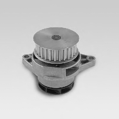 Water Pump, engine cooling (12135600)