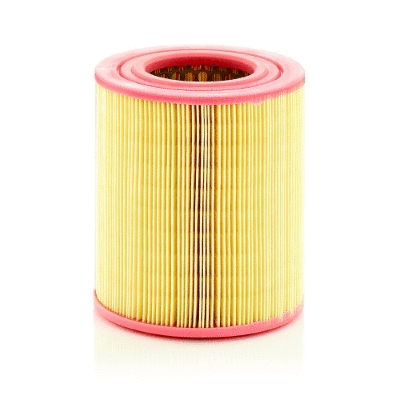 Air Filter (12138665)