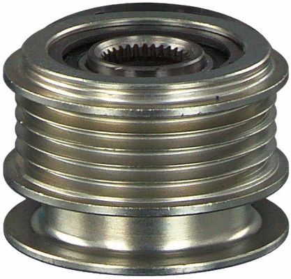 Alternator Freewheel Clutch (12115252)