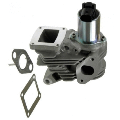 EGR Valve (12115630)