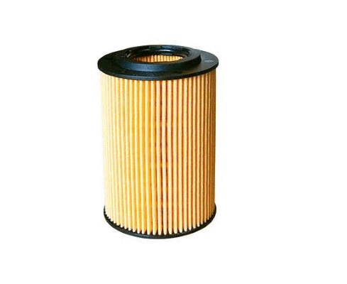 Oil Filter (12138303)