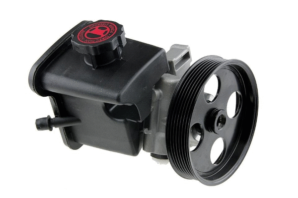 Hydraulic Pump, steering (12157679)
