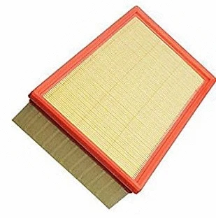 Air Filter (12111809)