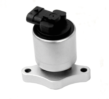 EGR Valve (12146497)