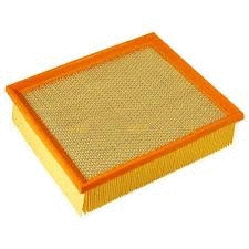 Air Filter (12138419)