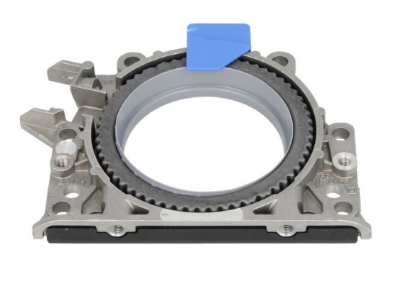 Shaft Seal, crankshaft (12220552)