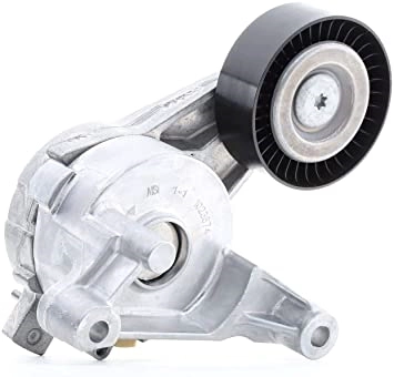 Repair Kit, v-ribbed belt tensioner (12164691)
