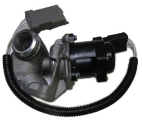EGR Valve (12115629)