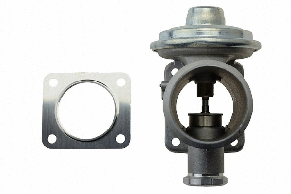EGR Valve (12146524)