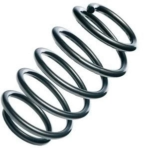 Suspension Spring (12108661)