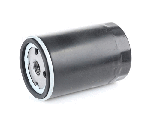 Oil Filter (12138245)