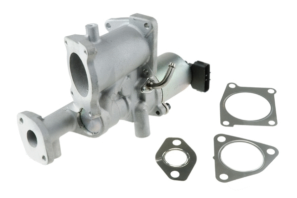 EGR Valve (12171030)
