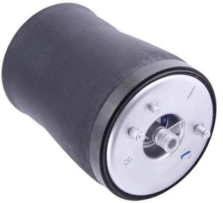 Air Spring, suspension (12127043)