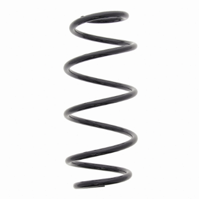 Suspension Spring (12108682)