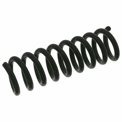 Suspension Spring (12108688)