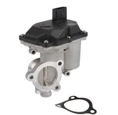 EGR Valve (12194768)