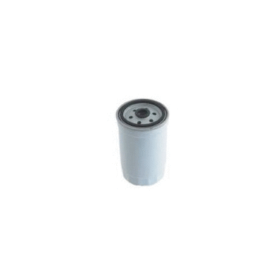 Fuel Filter (12138313)