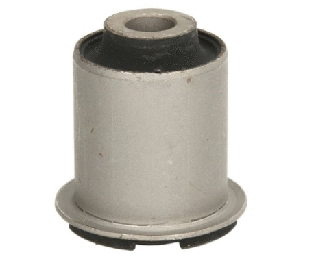 Mounting, control/trailing arm (12162441)