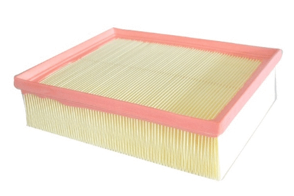 Air Filter (12135365)