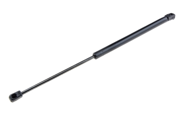 Gas Spring, bonnet (12161342)