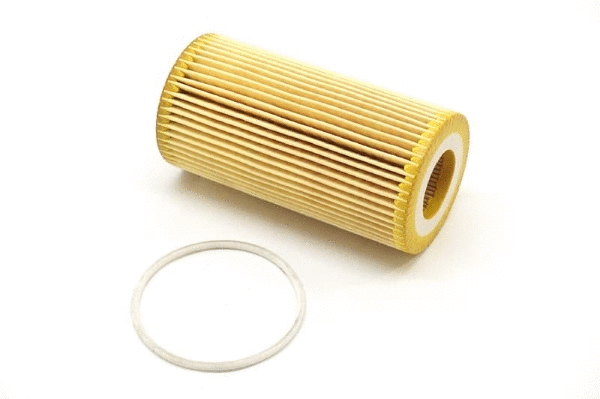 Oil Filter (12138435)