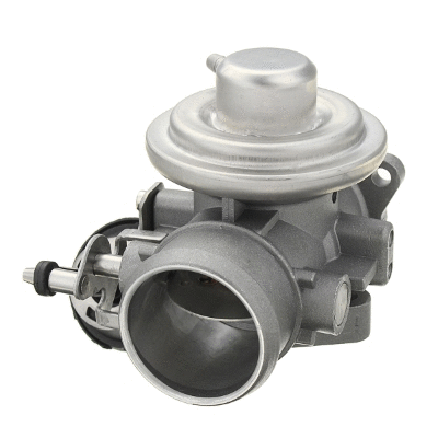 EGR Valve (12115627)