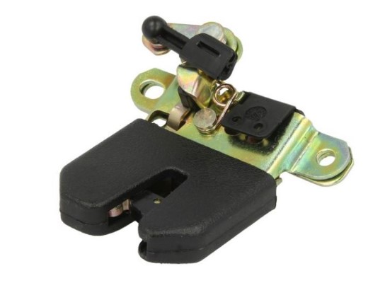 Tailgate Lock (12202987)