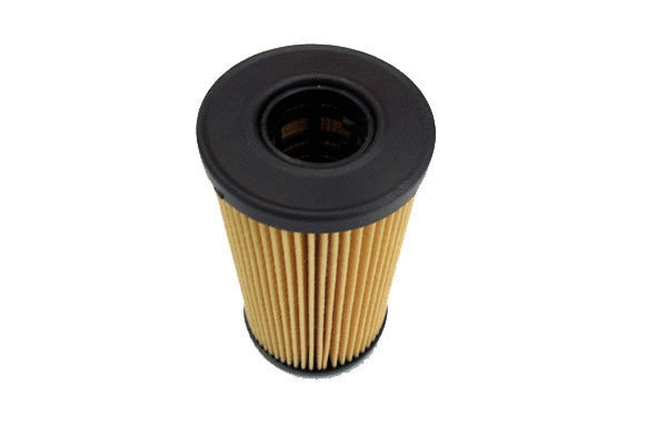 Oil Filter (12138309)