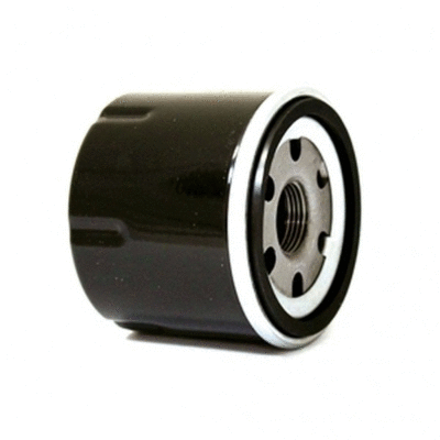 Oil Filter (11766964)