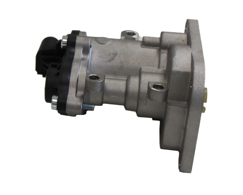 EGR Valve (12106381)
