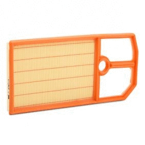 Air Filter (12138401)