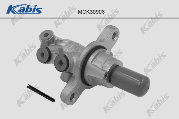 Brake Master Cylinder (MCK30906)