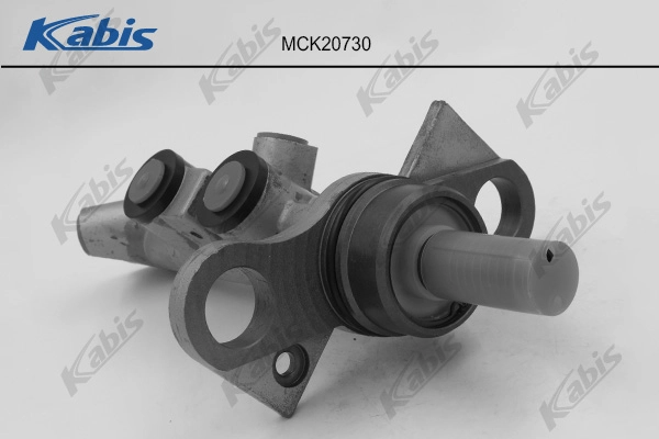 Brake Master Cylinder (MCK20730)