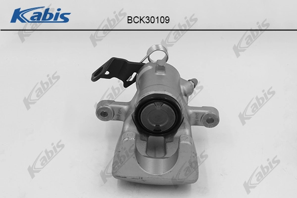 Brake Caliper (BCK30109)
