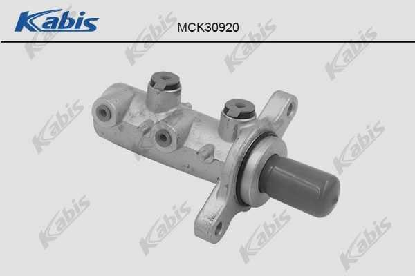 Brake Master Cylinder (MCK30920)