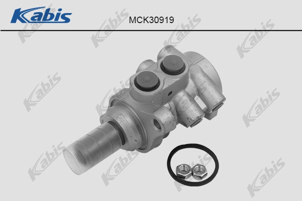Brake Master Cylinder (MCK30919)
