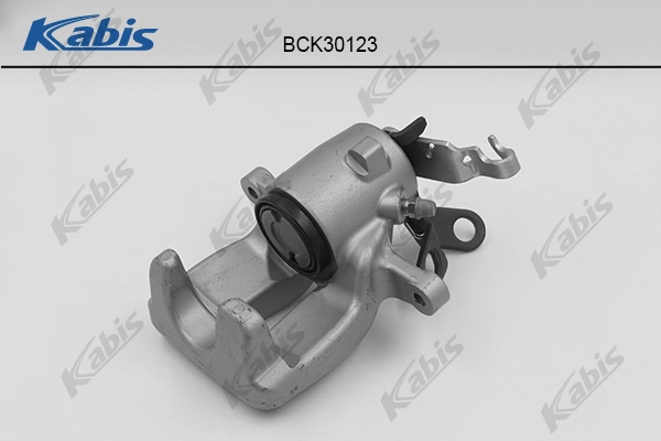 Brake Caliper (BCK30123)