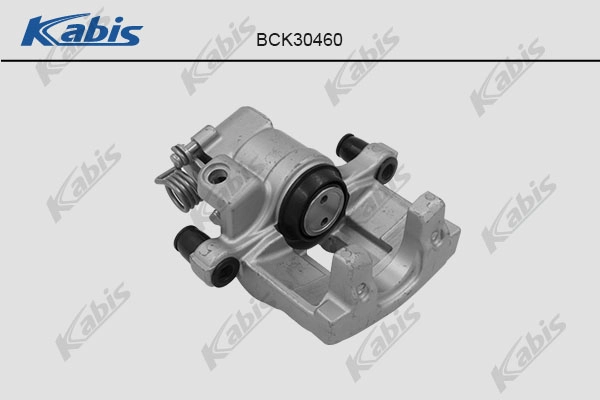 Brake Caliper (BCK30460)