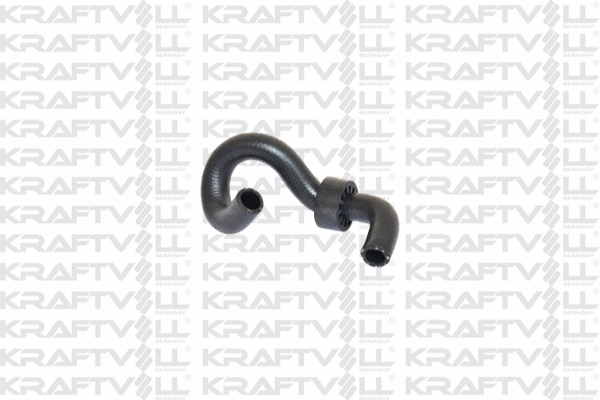Radiator Hose (10031077)