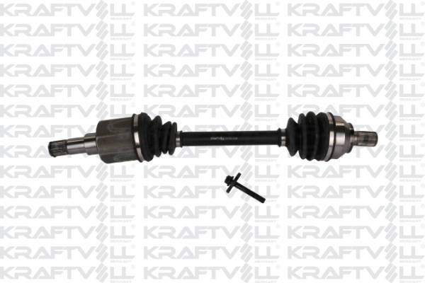 Drive Shaft (01010160)