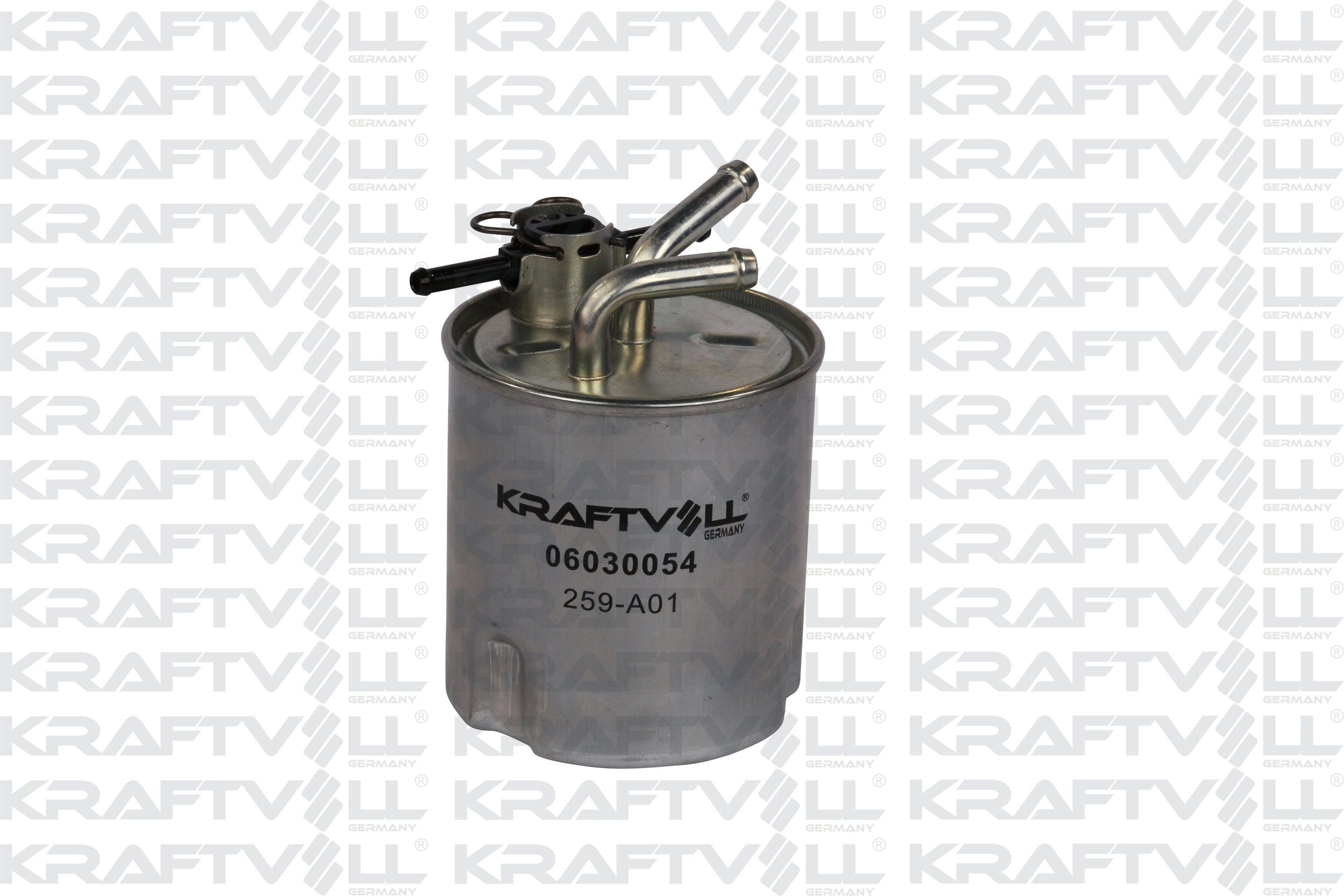 Fuel Filter (06030054)