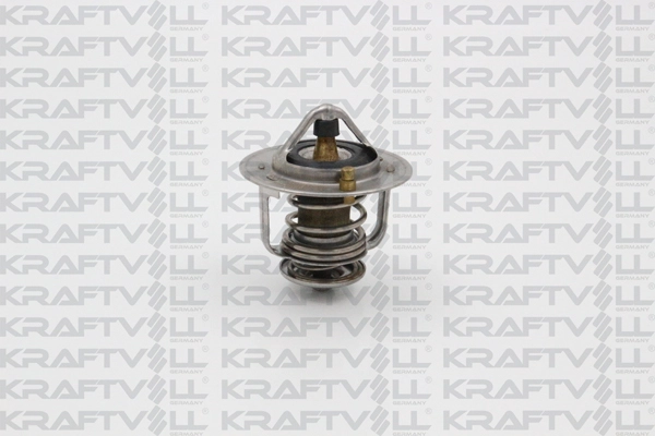 Thermostat, coolant (08110057)