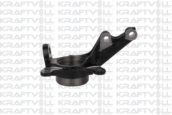 Steering Knuckle, wheel suspension (01030261)
